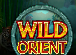 Wild Orient